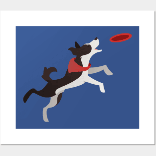 Border Collie Playing Fetch Posters and Art